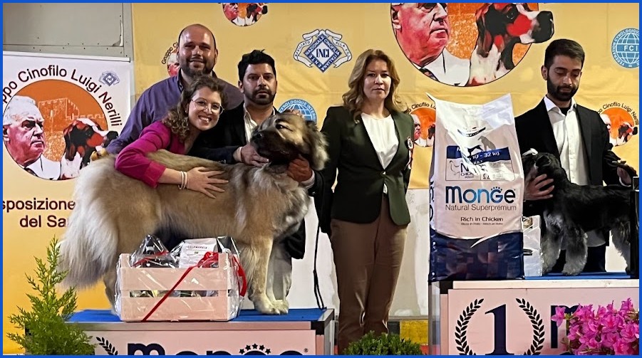 mostra speciale AIPr Campobasso 2022 mostra speciale AIPr Campobasso 2022
