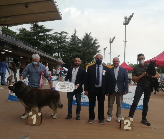 PRIMO RADUNO AIPR 2021 PRIMO RADUNO AIPR 2021