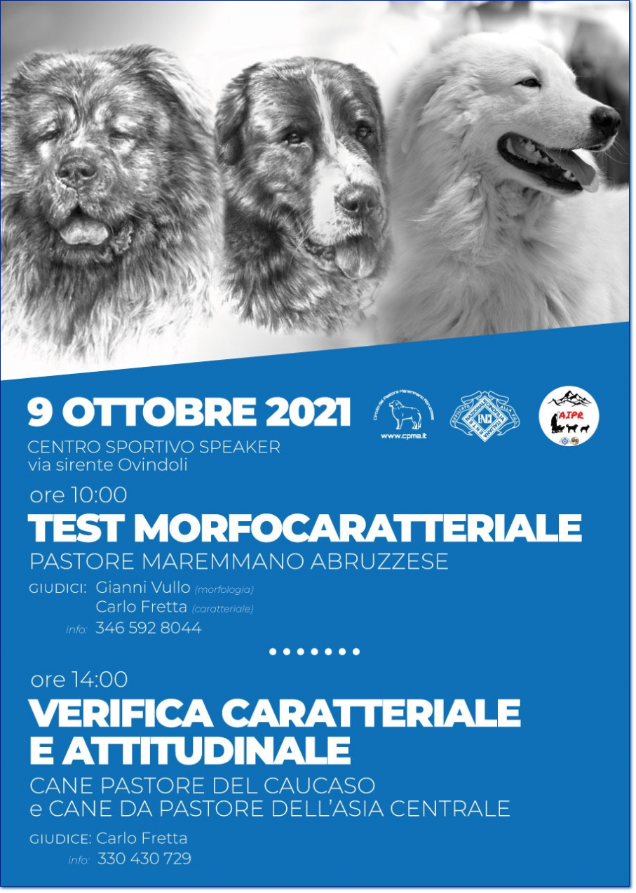 test morfocaratteriale AIPR 2021 test morfocaratteriale AIPR 2021