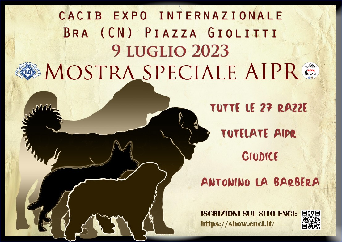 AIPR Speciale Bra 2023 AIPR Speciale Bra 2023