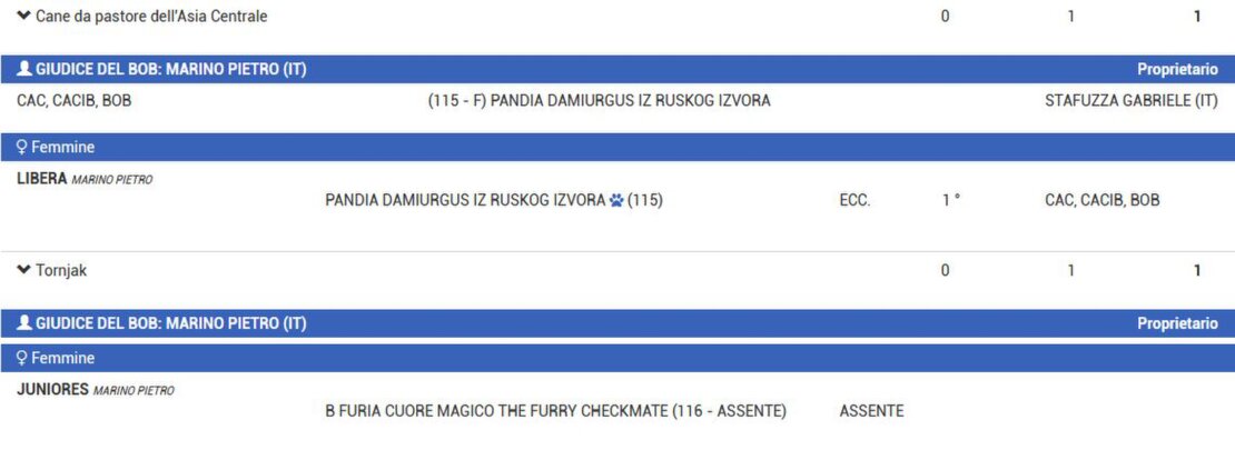 RISULTATI AIPR RAVENNA 2022